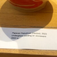 2024.DIG.EXH.TUVADWF.019 (Small).jpg